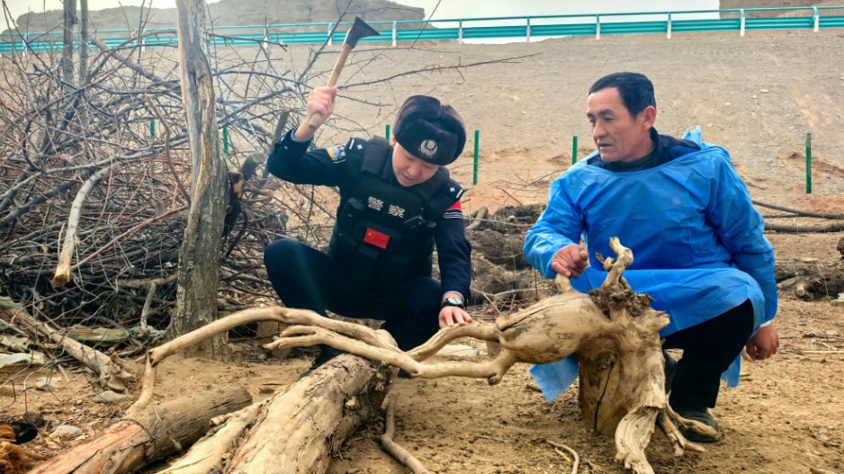 念好“访解暖”三字诀 绘就西极平安新“枫”景