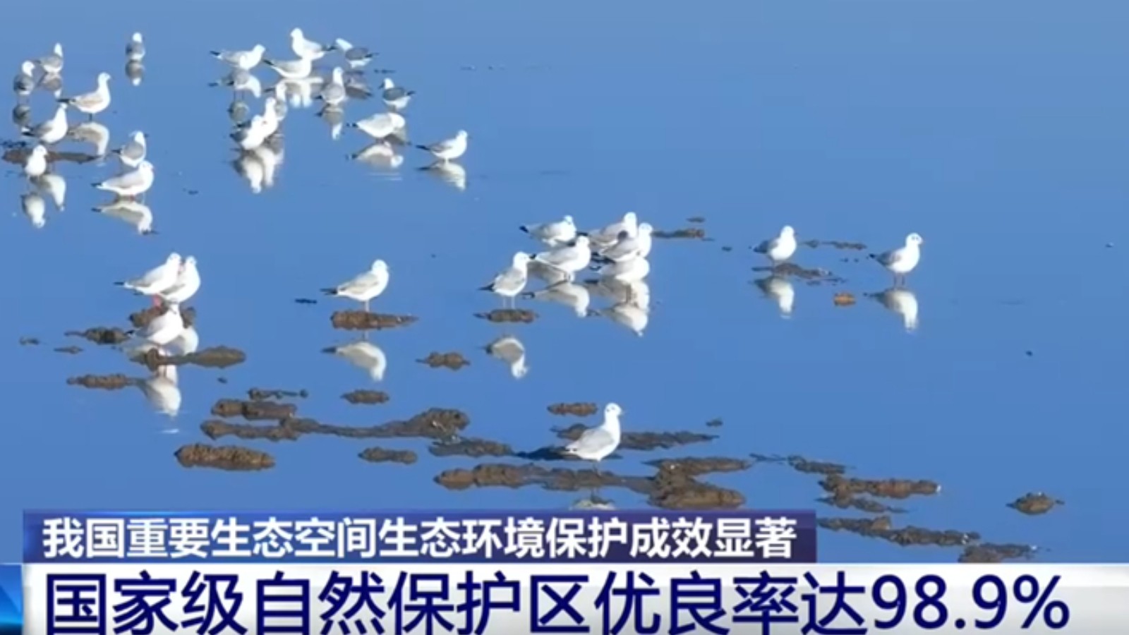 我国重要生态空间生态环境保护成效显著 主要保护对象持续恢复