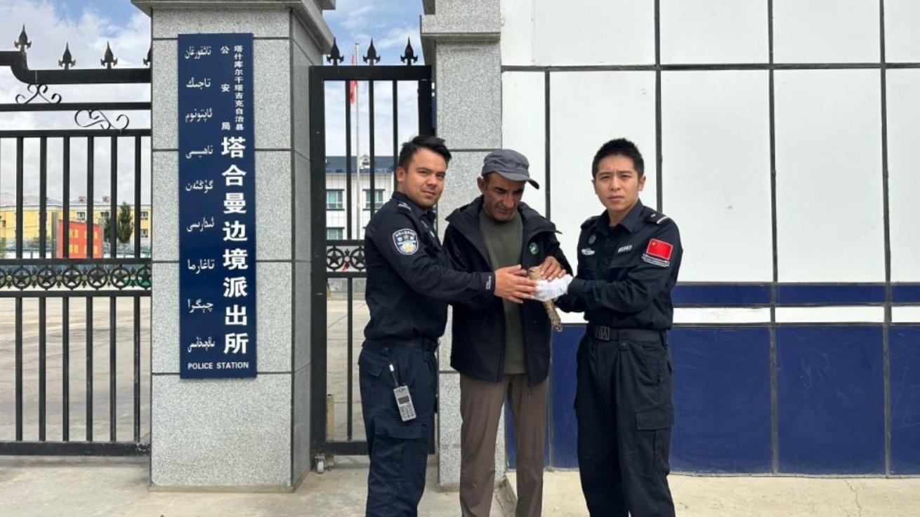 新疆喀什边境管理支队塔合曼边境派出所：受伤猛禽落难草丛 边境民警急施援手