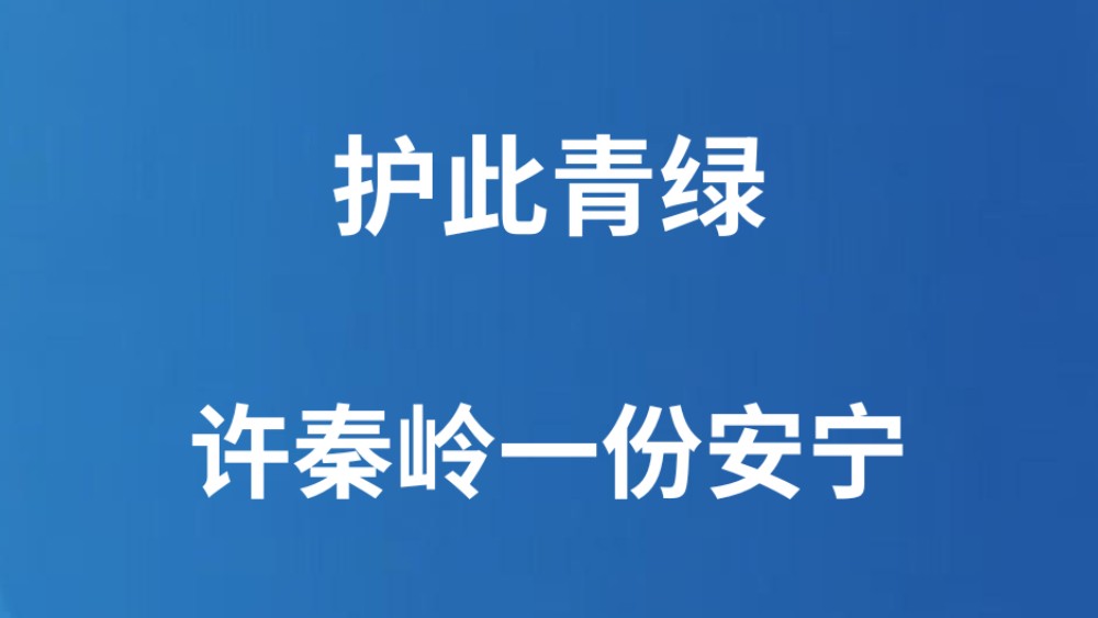 护此青绿，许秦岭一份安宁