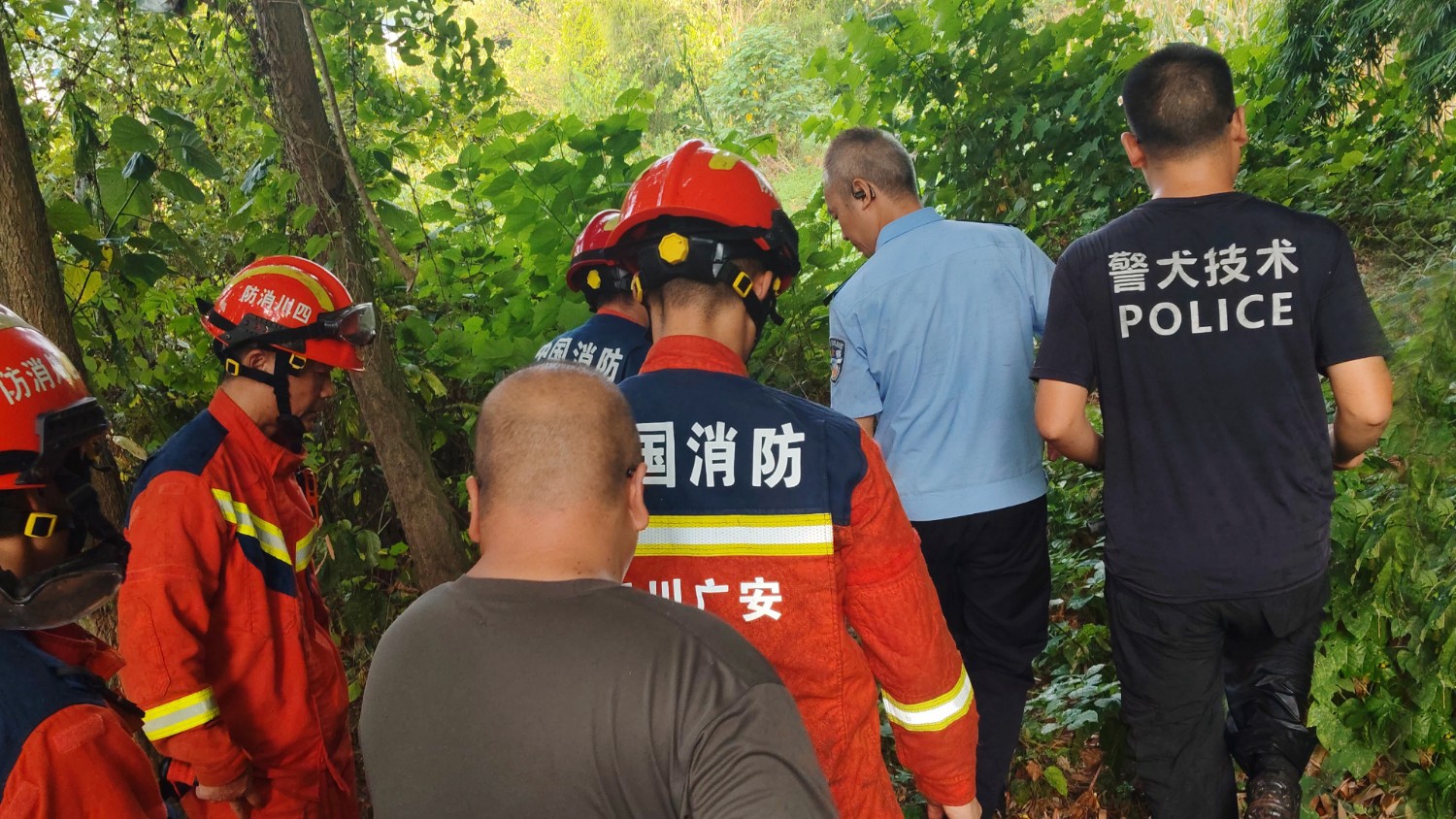 警犬“黑虎”再立功 走失老人转危为安
