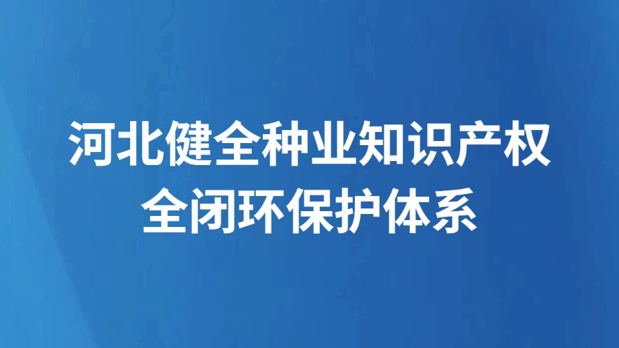 河北健全种业知识产权全闭环保护体系