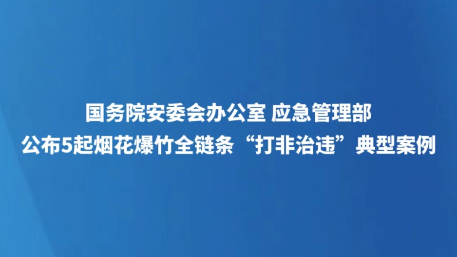 国务院安委会办公室 应急管理部公布5起烟花爆竹全链条“打非治违”典型案例
