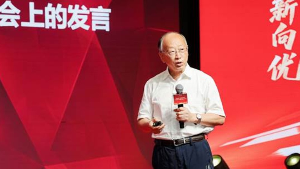 王虹破解“挂谷猜想”有什么认识论意义