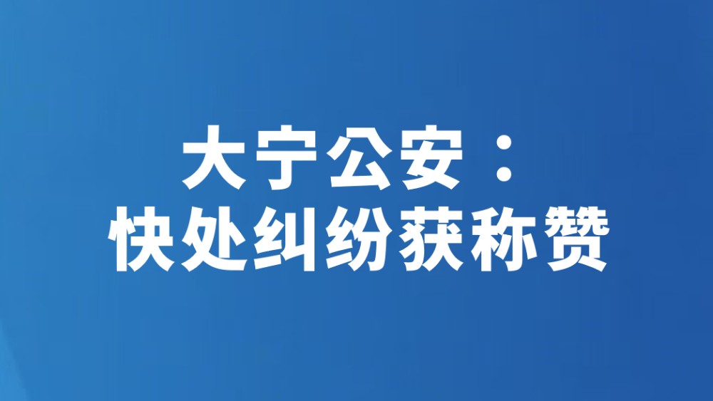 大宁公安：快处纠纷获称赞