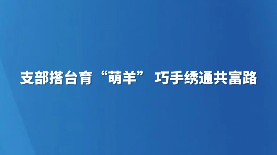 支部搭台育“萌羊” 巧手绣通共富路