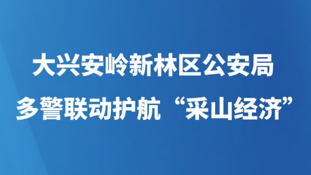大兴安岭新林区公安局多警联动护航“采山经济”