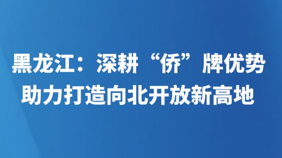 黑龙江：深耕“侨”牌优势 助力打造向北开放新高地