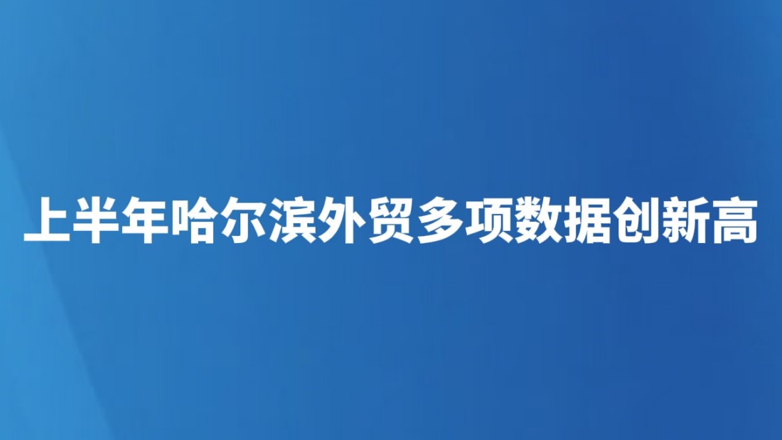 上半年哈尔滨外贸多项数据创新高