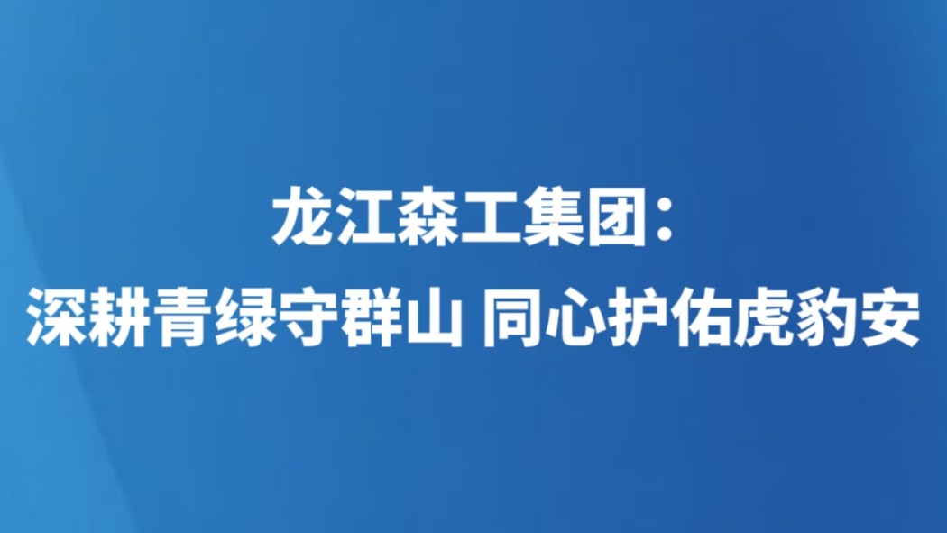 龙江森工集团：深耕青绿守群山 同心护佑虎豹安