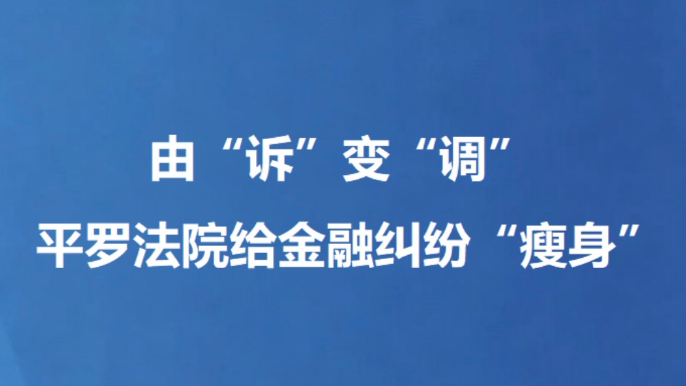 由“诉”变“调” 平罗法院给金融纠纷“瘦身”