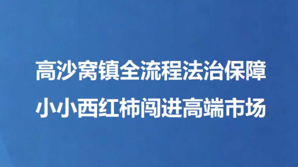 高沙窝镇全流程法治保障 小小西红柿闯进高端市场