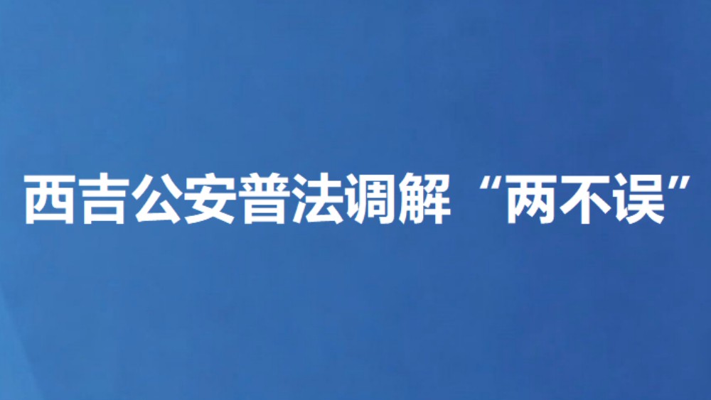 西吉公安普法调解“两不误”