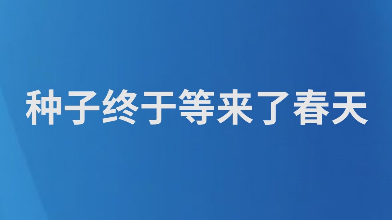 种子终于等来了春天