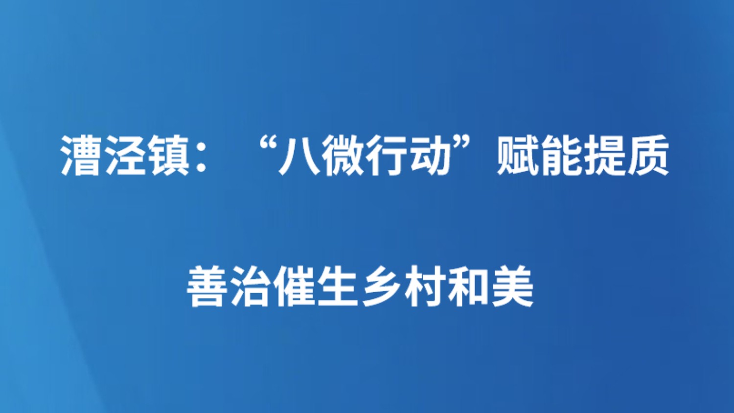 漕泾镇：“八微行动”赋能提质 善治催生乡村和美