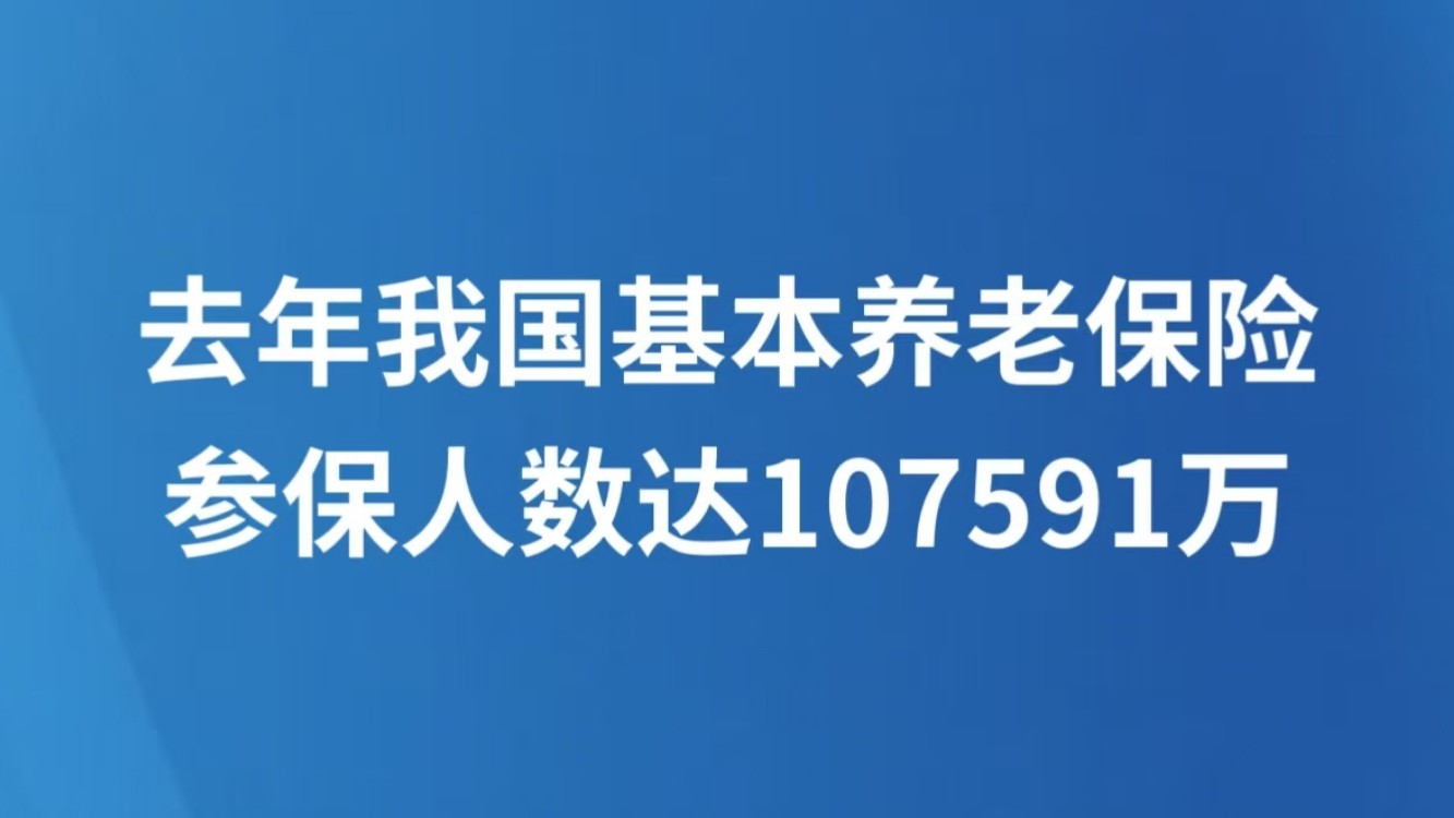 去年我国基本养老保险参保人数达107591万