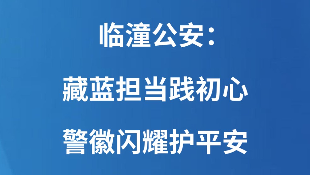 临潼公安：藏蓝担当践初心 警徽闪耀护平安