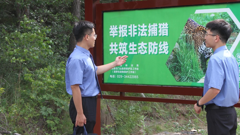 “破属地壁垒 担检察使命 ”系列报道之四