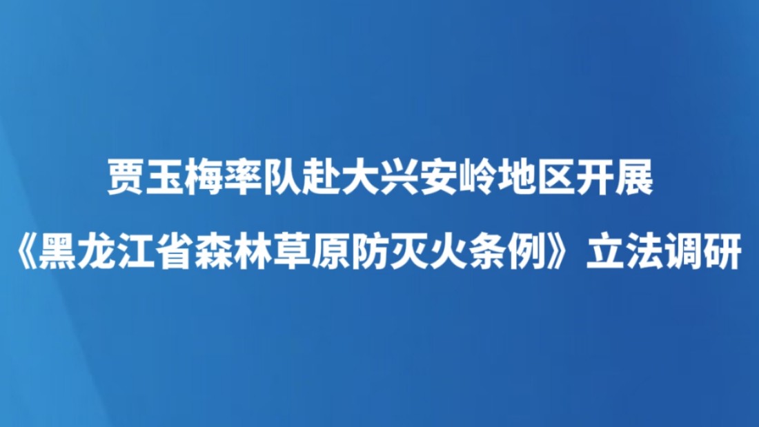 贾玉梅率队赴大兴安岭地区开展《黑龙江省森林草原防灭火条例》立法调研