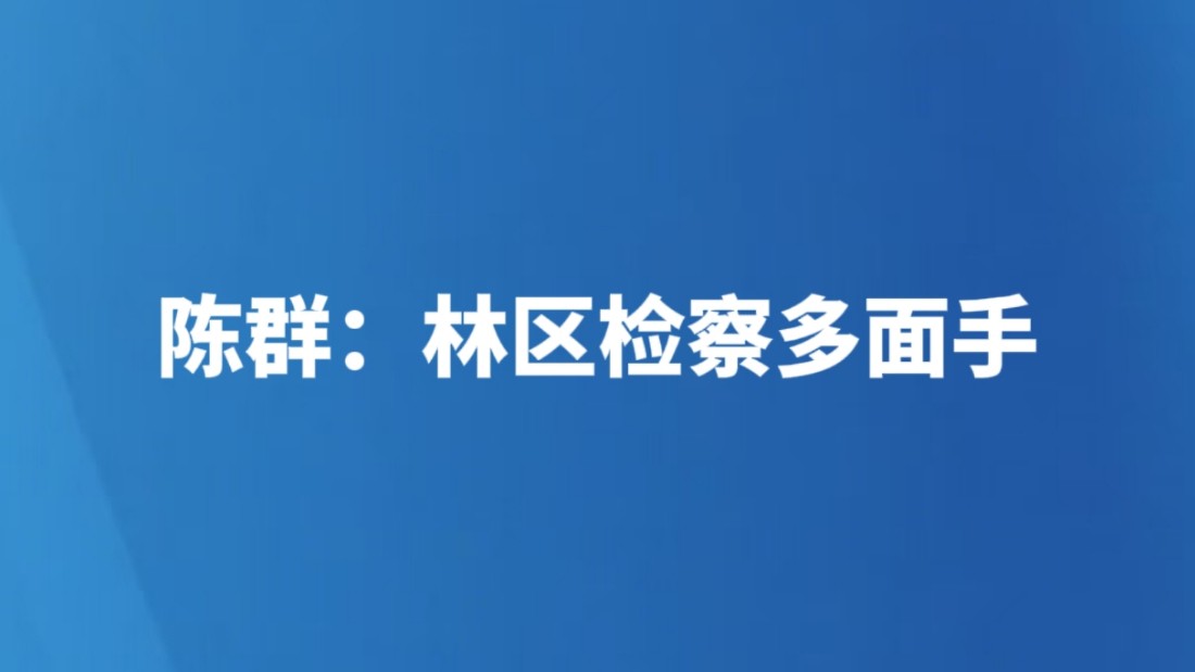 陈群：林区检察多面手