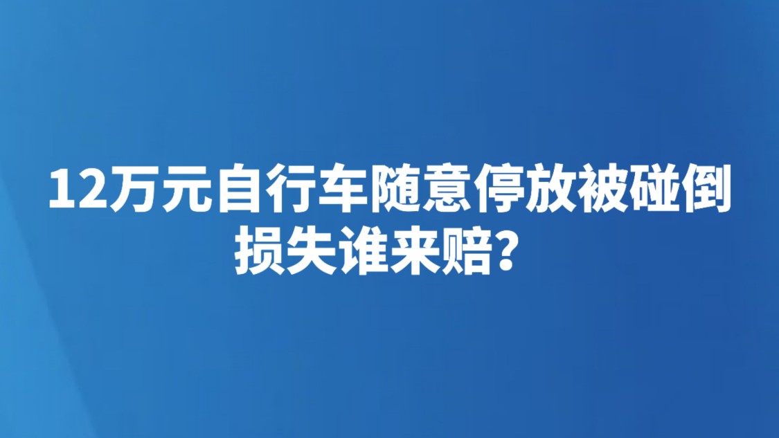 12万元自行车随意停放被碰倒 损失谁来赔？