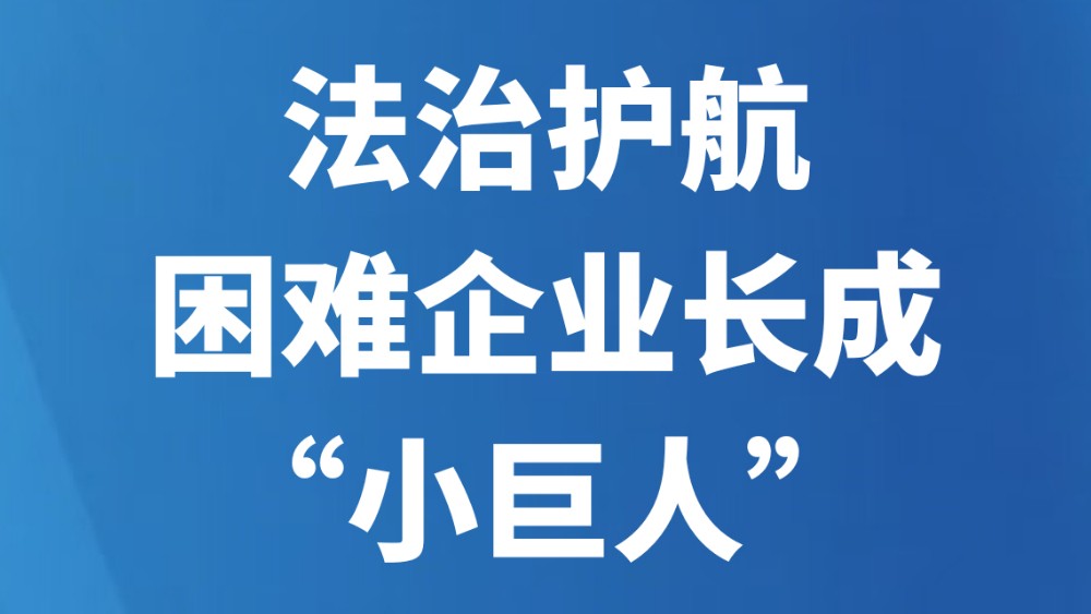 法治护航，困难企业长成“小巨人”