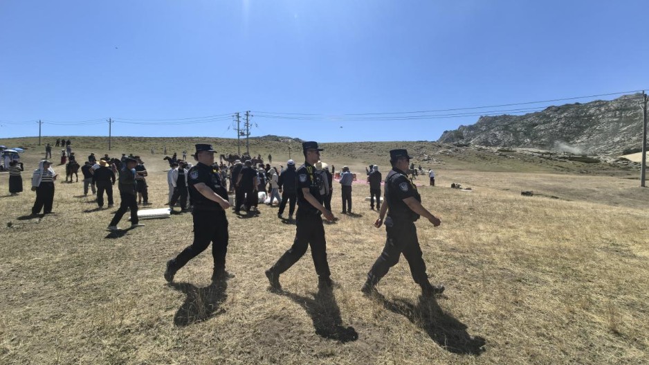 忠诚履职担使命 护航文旅促发展
