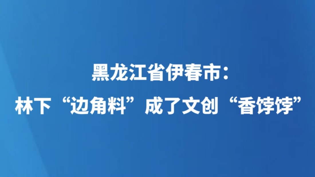 黑龙江省伊春市：林下“边角料”成了文创“香饽饽”