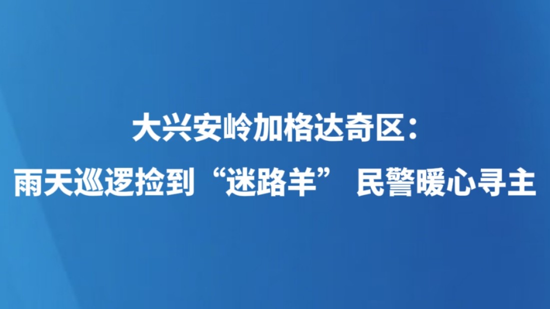 大兴安岭加格达奇区：雨天巡逻捡到“迷路羊” 民警暖心寻主