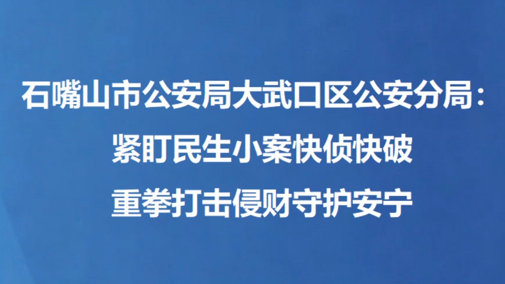 石嘴山市公安局大武口区公安分局：紧盯民生小案快侦快破 重拳打击侵财守护安宁