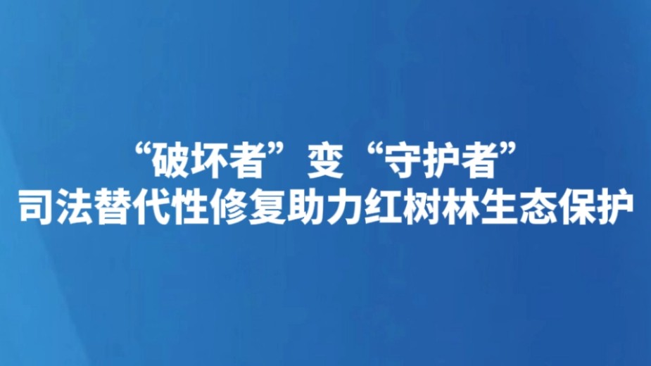 “破坏者”变“守护者” 司法替代性修复助力红树林生态保护