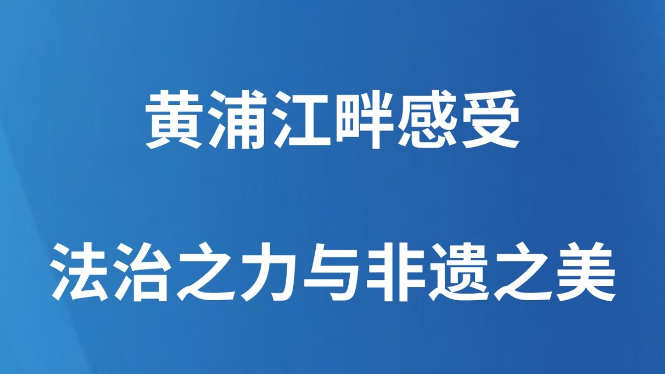 黄浦江畔感受法治之力与非遗之美