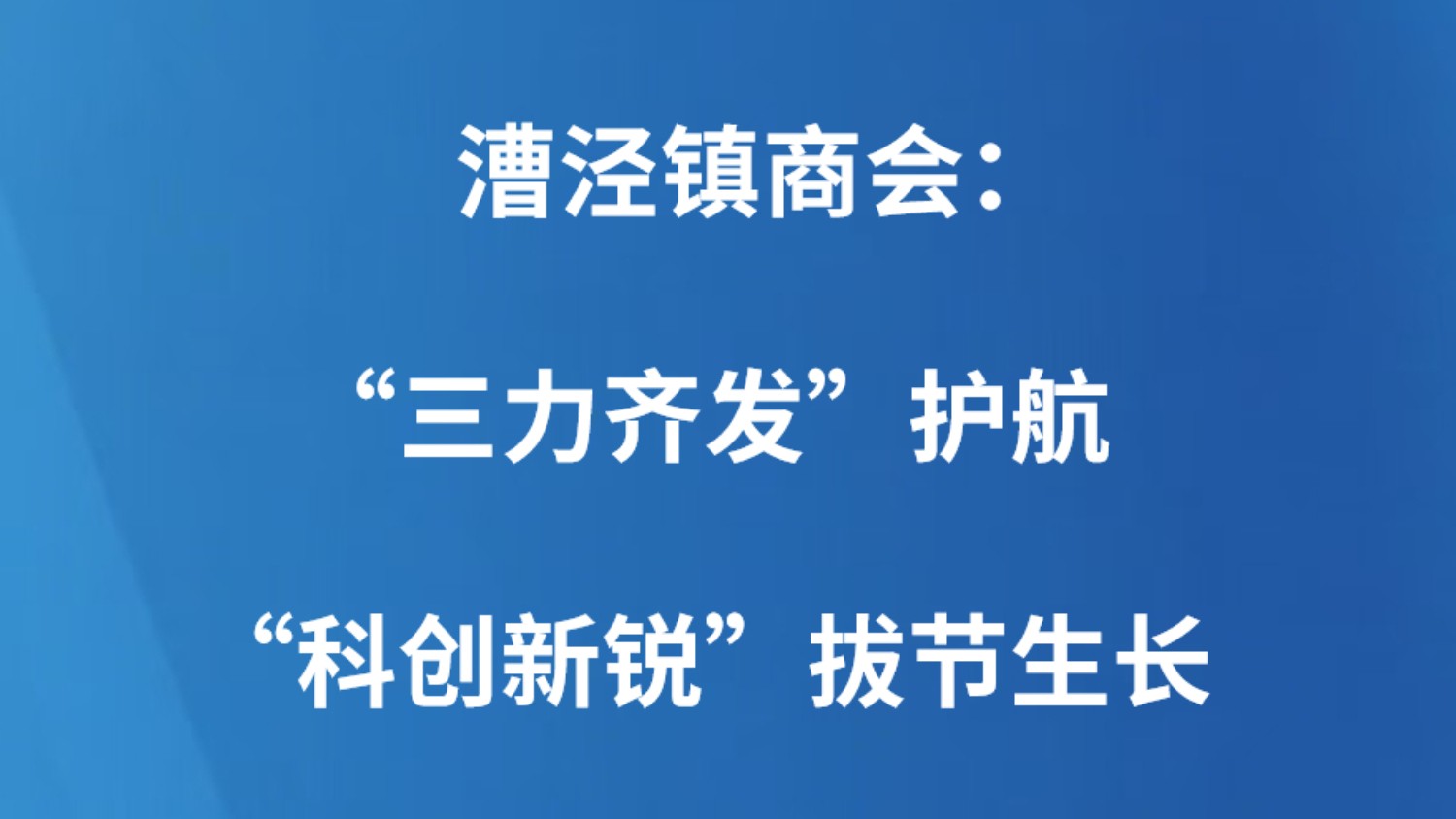 漕泾镇商会：“三力齐发”护航“科创新锐”拔节生长