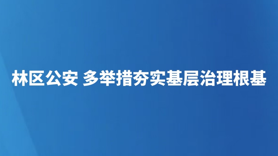 林区公安 多举措夯实基层治理根基