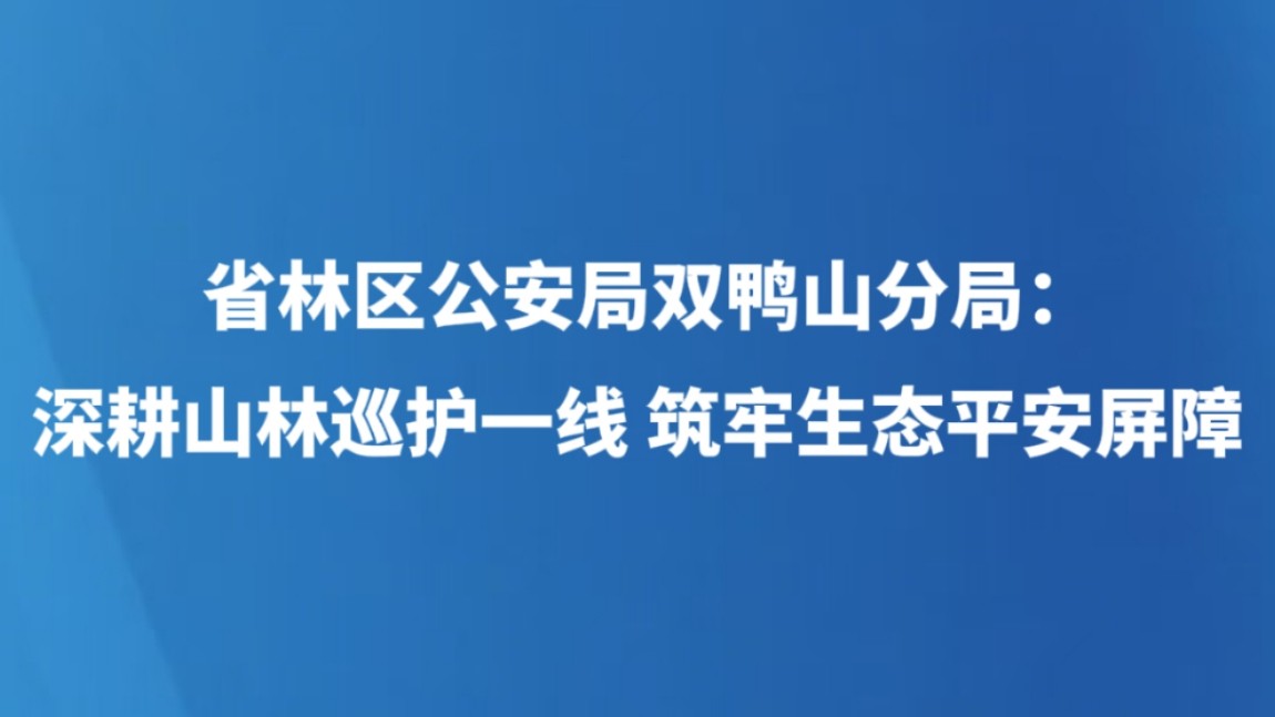 省林区公安局双鸭山分局：深耕山林巡护一线 筑牢生态平安屏障