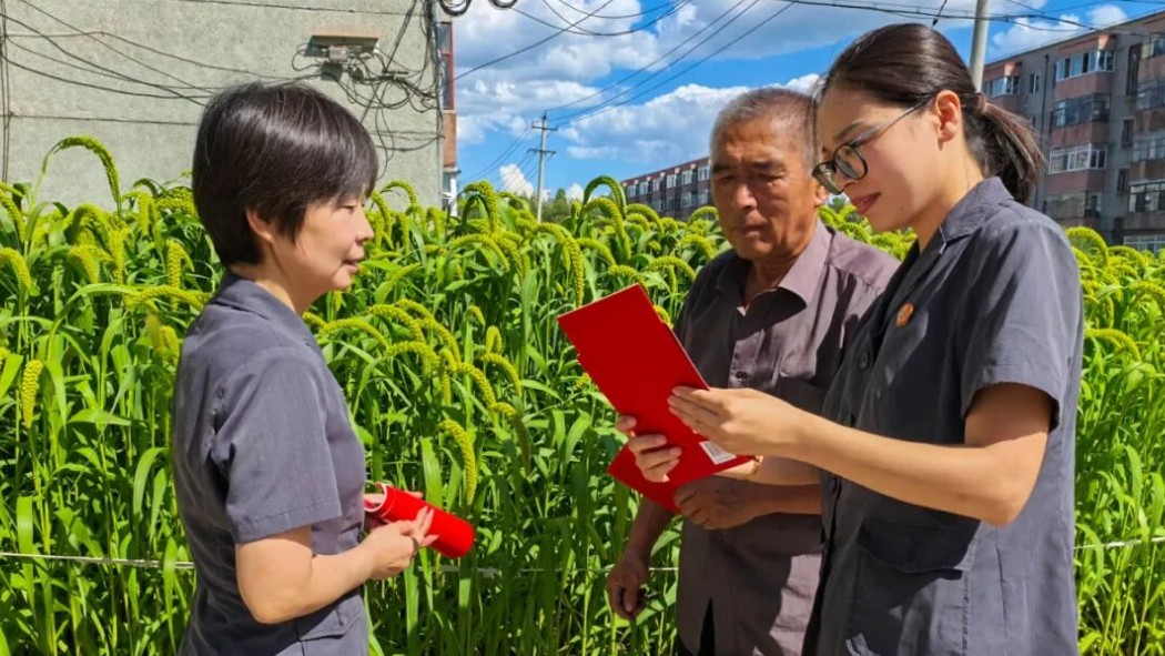 盛夏送法润阡陌 法治清风惠民生