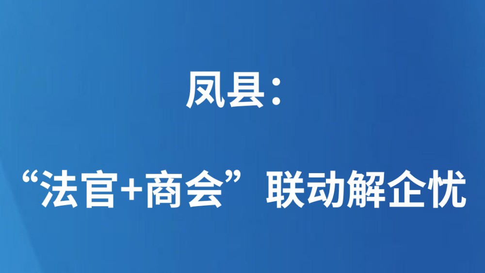 凤县：“法官+商会”联动解企忧
