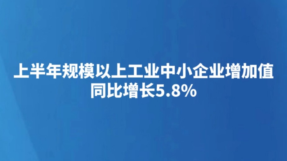 上半年规模以上工业中小企业增加值同比增长5.8%