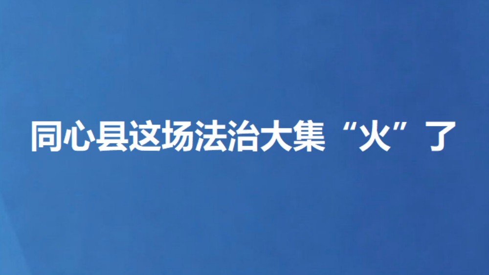 同心县这场法治大集“火”了