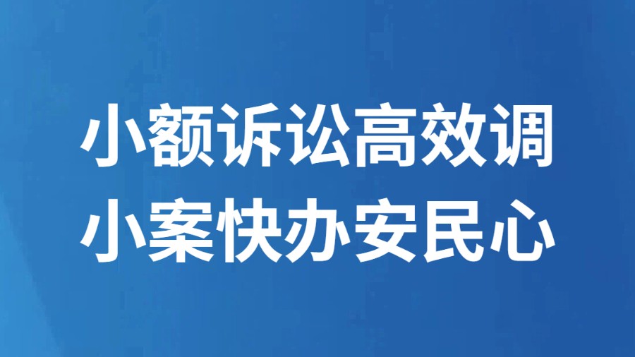 小额诉讼高效调 小案快办安民心