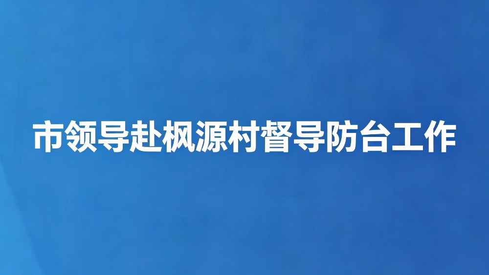 市领导赴枫源村督导防台工作