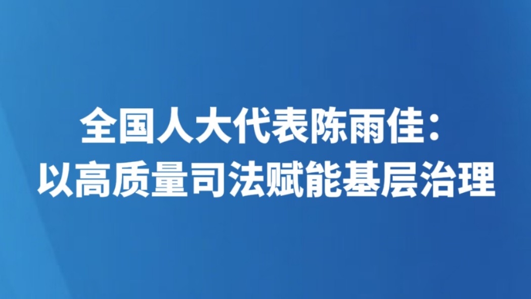 全国人大代表陈雨佳：以高质量司法赋能基层治理