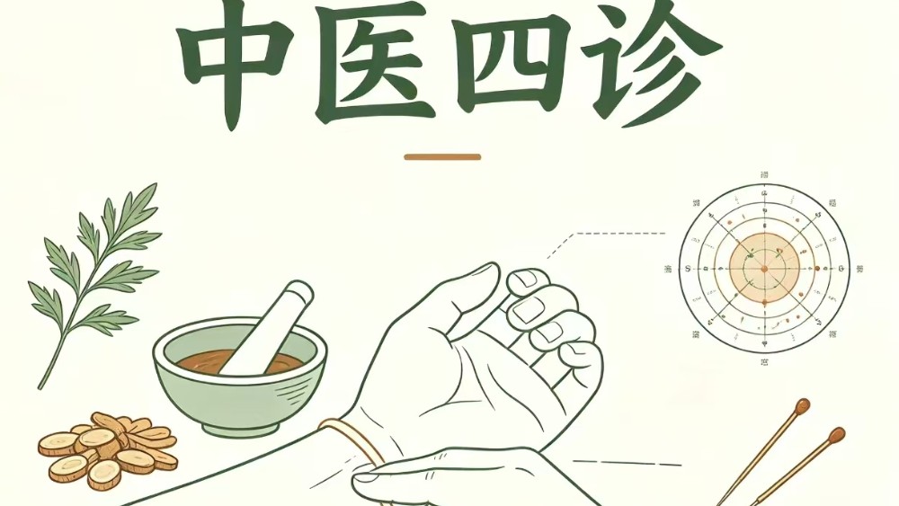 中医思维融入司法裁判的价值重构与实践路径