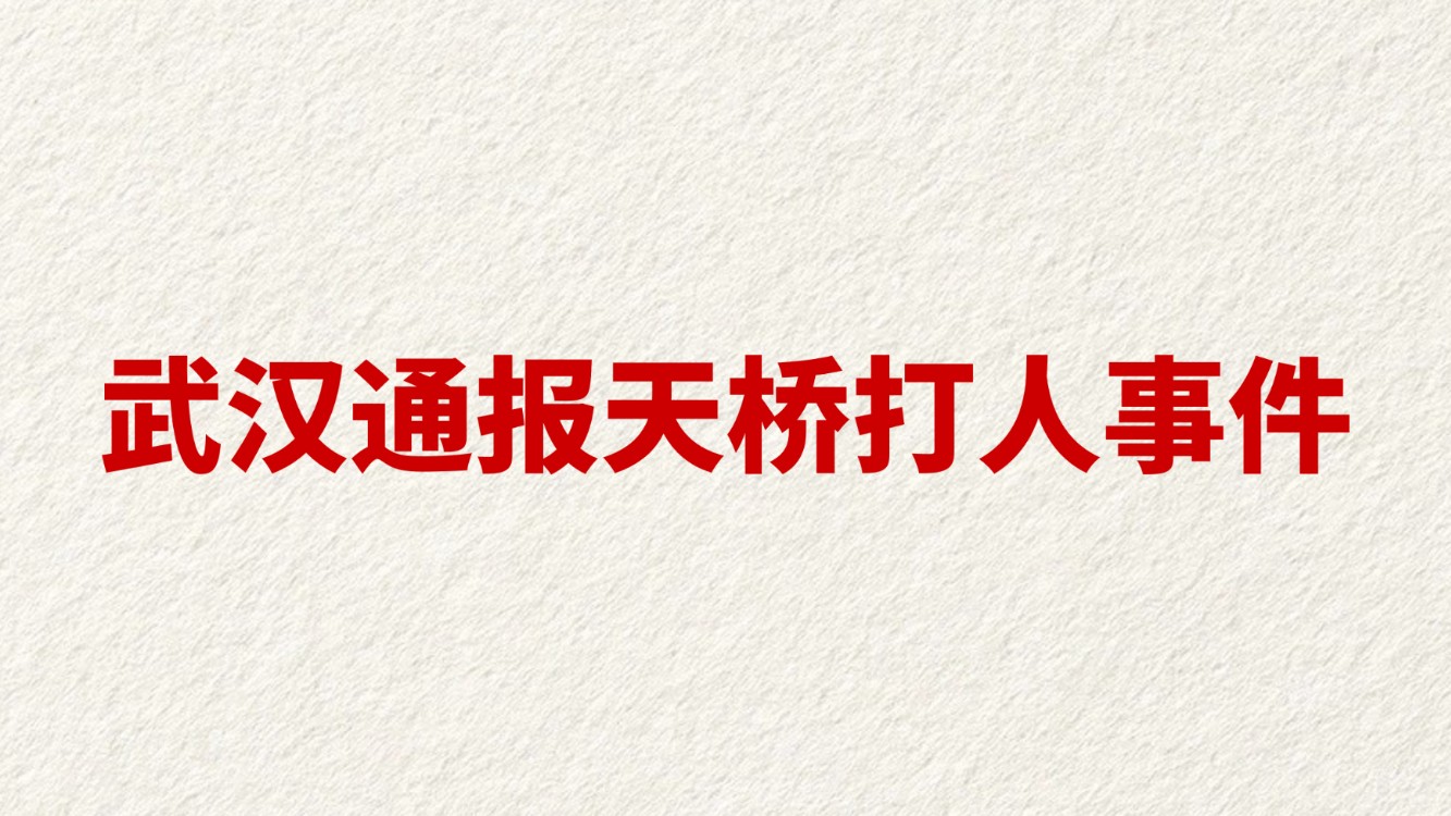 武汉通报天桥打人事件