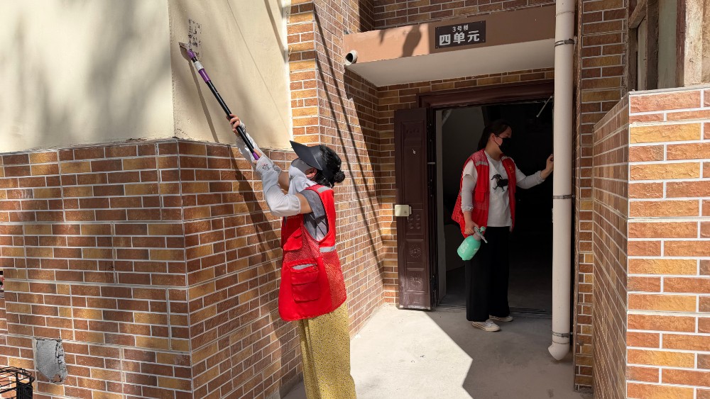 银川市兴庆区信义社区：专项整治祛除环境顽疾 科普宣传守护宜居家园