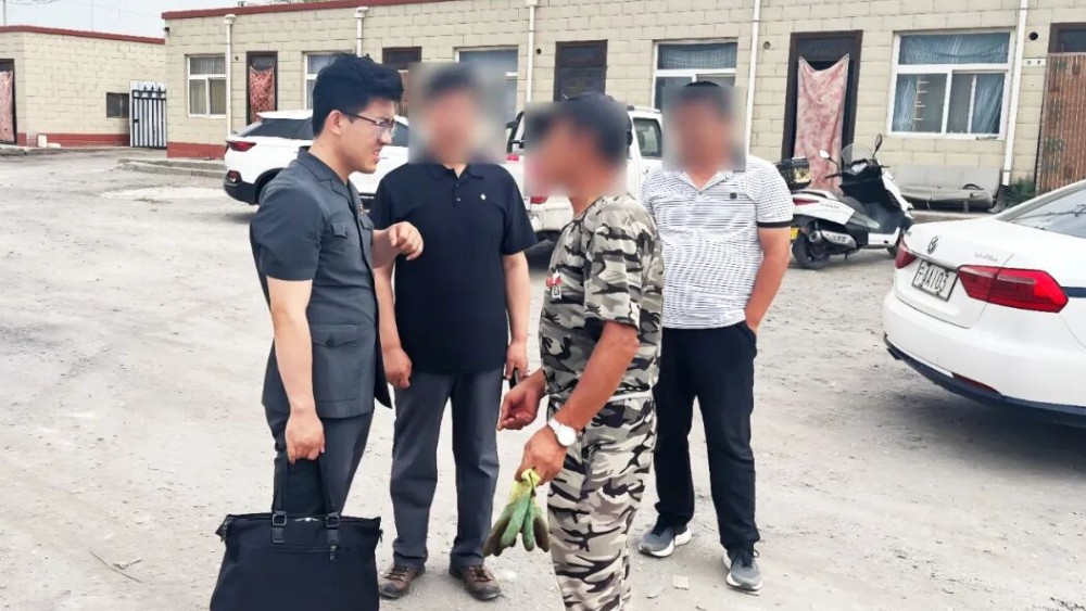 晨曦利剑破“沉睡”顽疾 刚柔并济兑胜诉权益