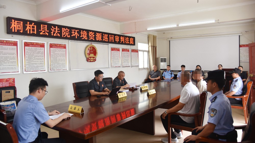 河南省南阳市桐柏县法院：巡回审判进林场 以案普法护青绿