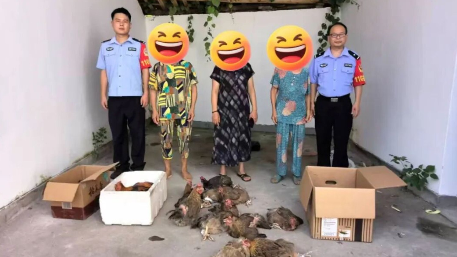 农户家禽频频失窃 宜春市宜丰县公安通力协作抓获盗窃嫌疑人