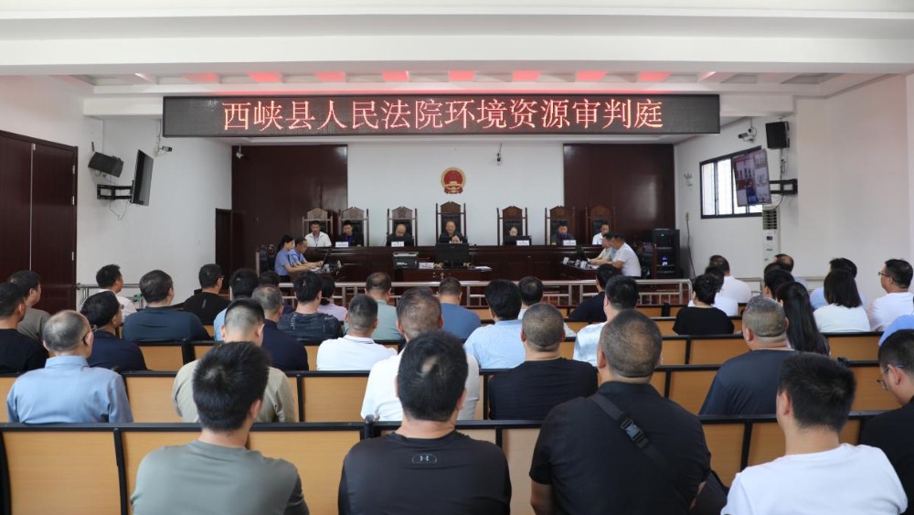 河南省南阳市西峡县法院：以案普法护生态 司法赋能守青山