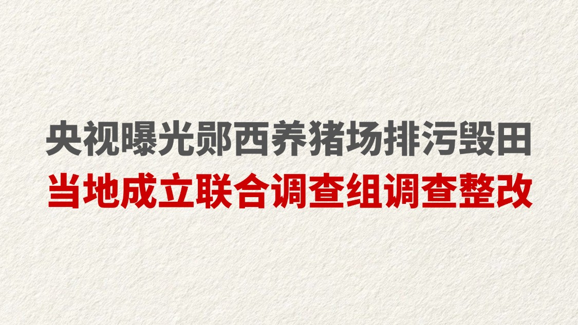 央视曝光郧西养猪场排污毁田 当地成立联合调查组调查整改